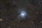 irisnebel_small.jpg