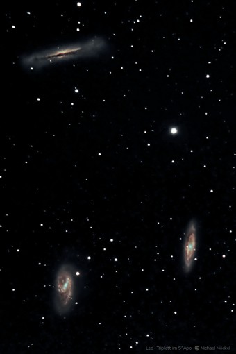Leo-Triplett