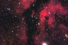 IC 1318