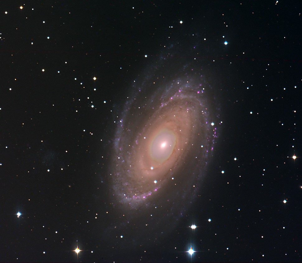 M81