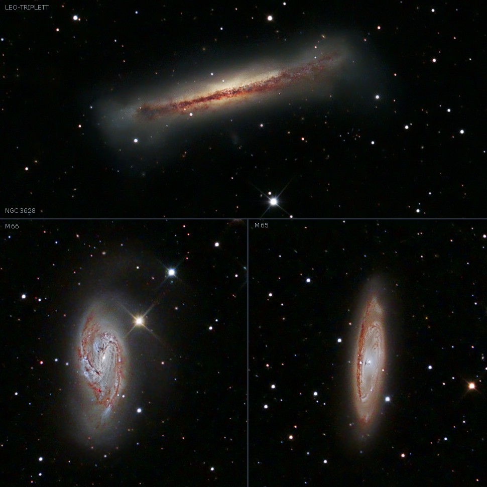 Mit Klick ins Bild gelangt man zum n�chsten