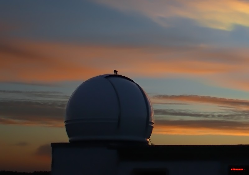 Mit Klick ins Bild gelangt man zum nchsten