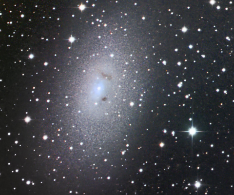 Mit Klick ins Bild gelangt man zur höheren Gesamt-Auflösung vom M 31 - und danach zur nächsten Seite dieser Fotostrecke.