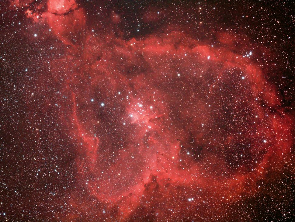 Mit Klick ins Bild geht es weiter zur nächsten Seite dieser Fotostrecke.