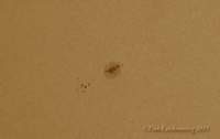 sonnenfleckam17092015_small.jpg