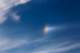 rightsundog_small.jpg